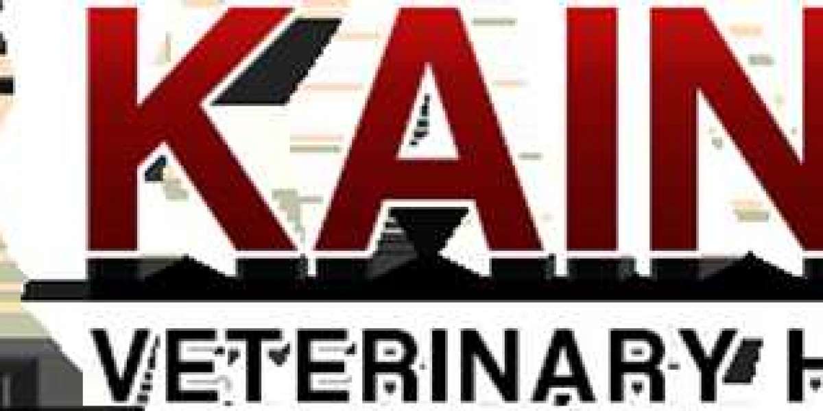 Cat & Dog Vaccinations | Kainer Veterinary Hospital