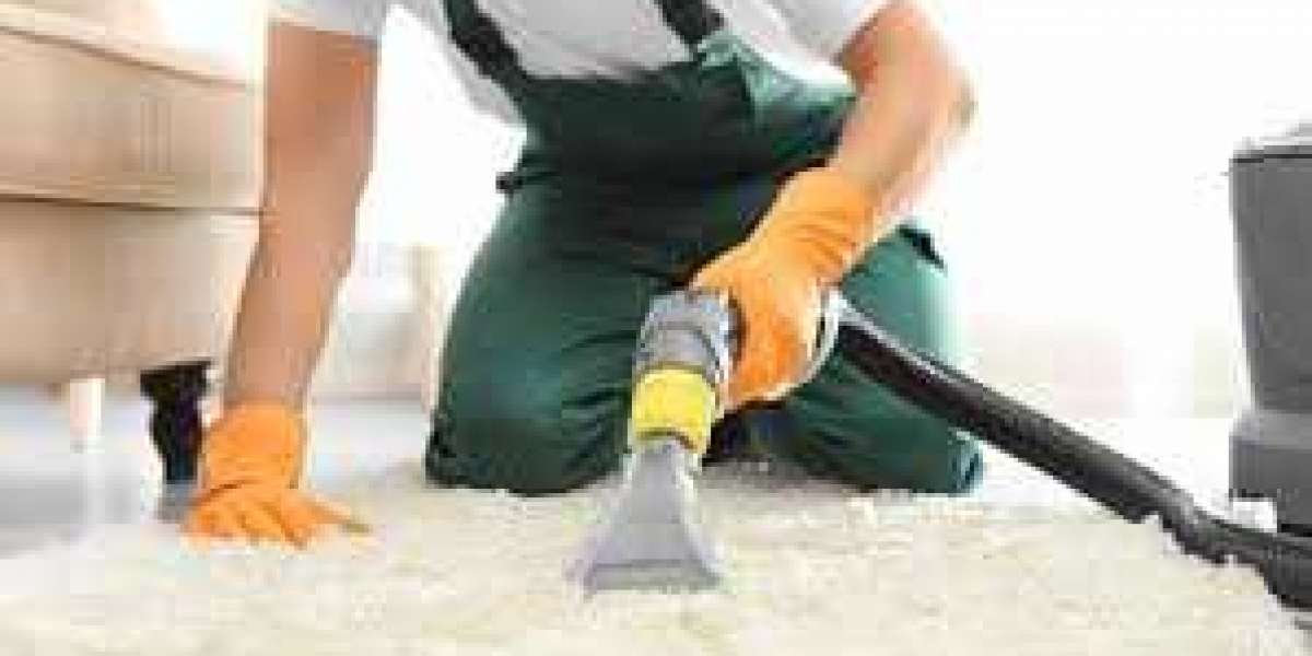 Why Every Home Needs Professional Carpet Cleaning for Peace of Mind