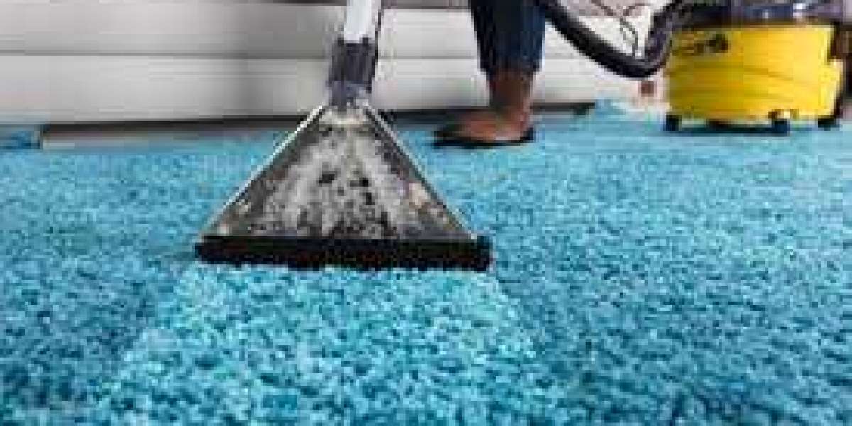 Boost Your Home’s Comfort with Professional Carpet Cleaning