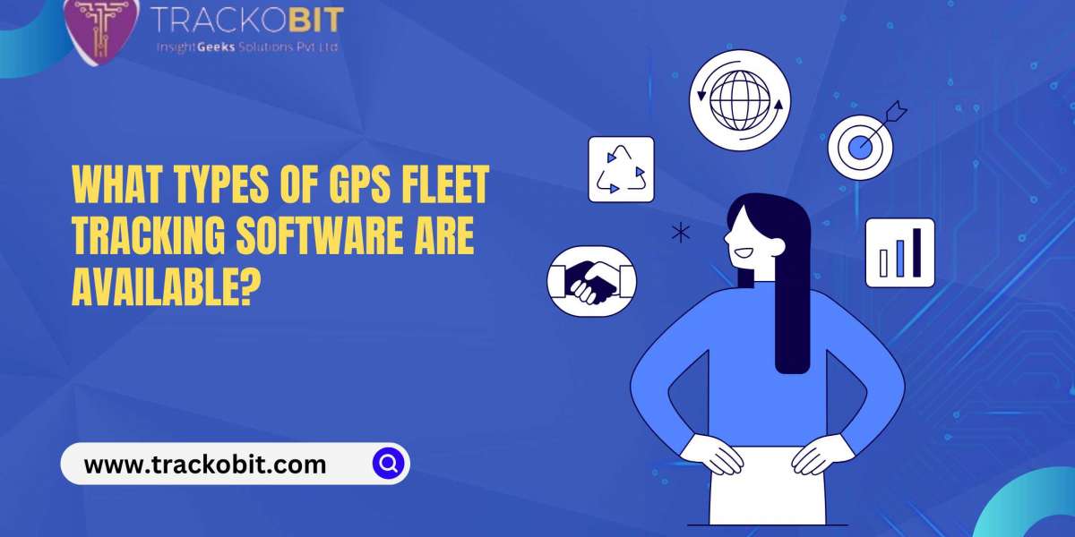 What Types of GPS Fleet Tracking Software are Available?