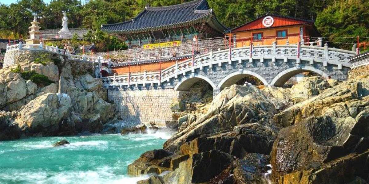 Exciting Things to Do in Busan You’ll Love