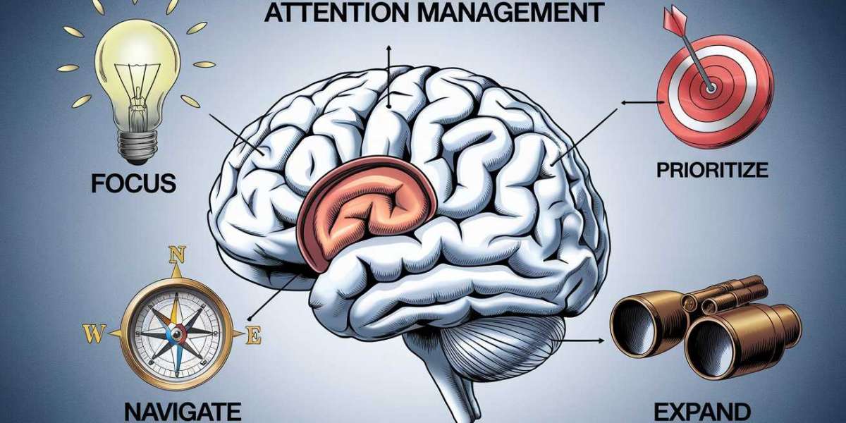 Why Attention Management Training Matters in Italy