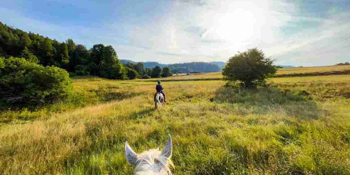 Why Is the Countryside Perfect for Equestrian Holidays?