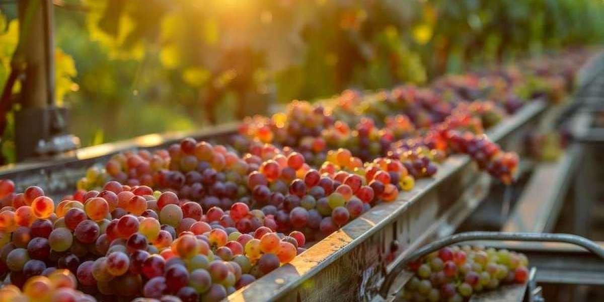 In-depth Analysis: Grape Processing Plant Project Report 2025 - Requirements and Setup Cost