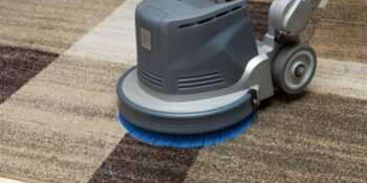 Why Every Home Needs Professional Carpet Cleaning Services