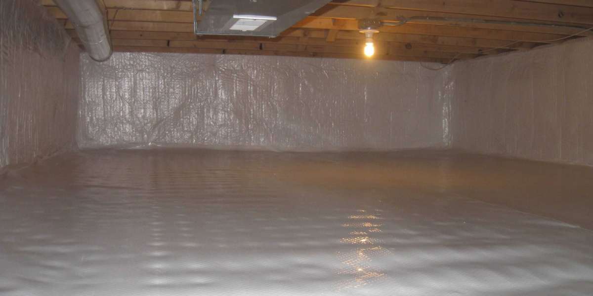 Comprehensive Crawlspace Services for Homes in Lexington, SC