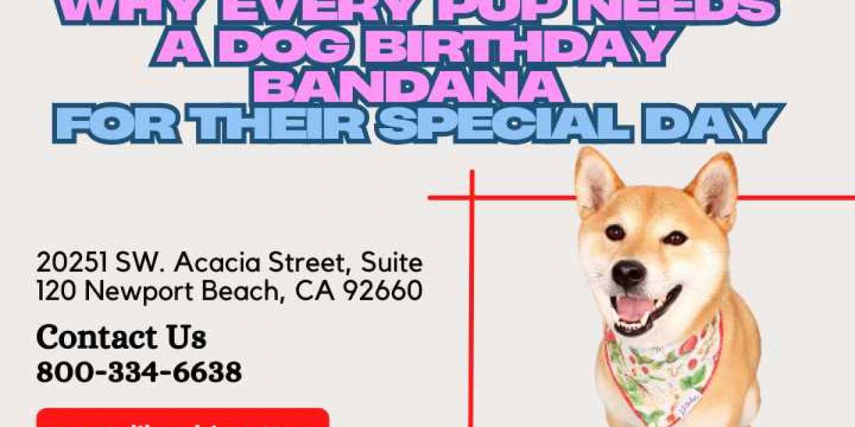 Why Every Pup Needs a Dog Birthday Bandana for Their Special Day