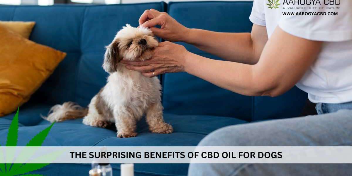 The Surprising Benefits of CBD Oil for Dogs