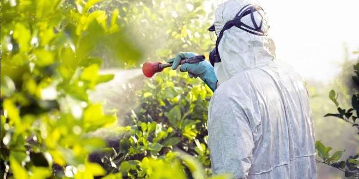 Australia Biopesticides Market: Growth, Trends, and Future Outlook (2025-2034)