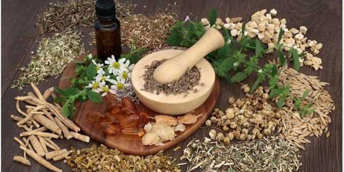 Establishing a Herbal Medicine Manufacturing Plant Report 2025, Project Cost Details