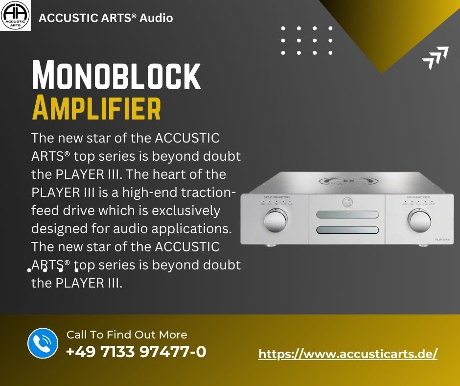 Monoblock Amplifier – @accusticarts on Tumblr