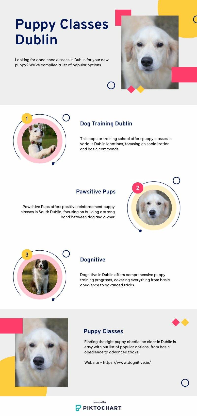 Puppy Obedience Classes Dublin | Piktochart Visual Editor