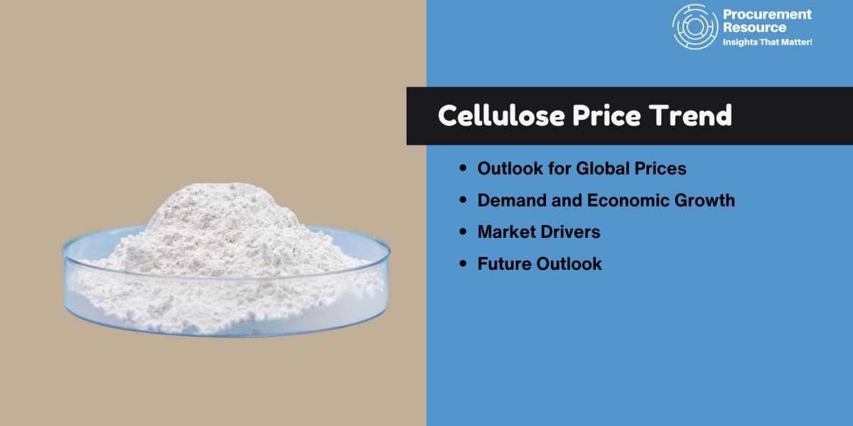 Cellulose Price Trend: Latest Price, News, Market Analysis, Historical & Forecast