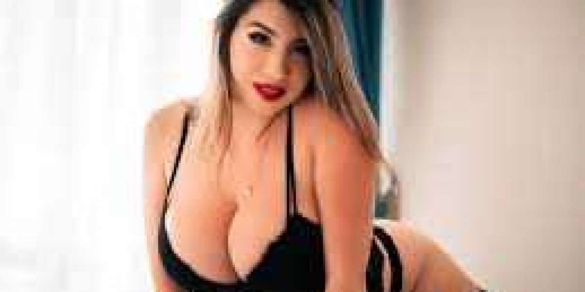 Book Udaipur escorts at ₹ 2999 With Room