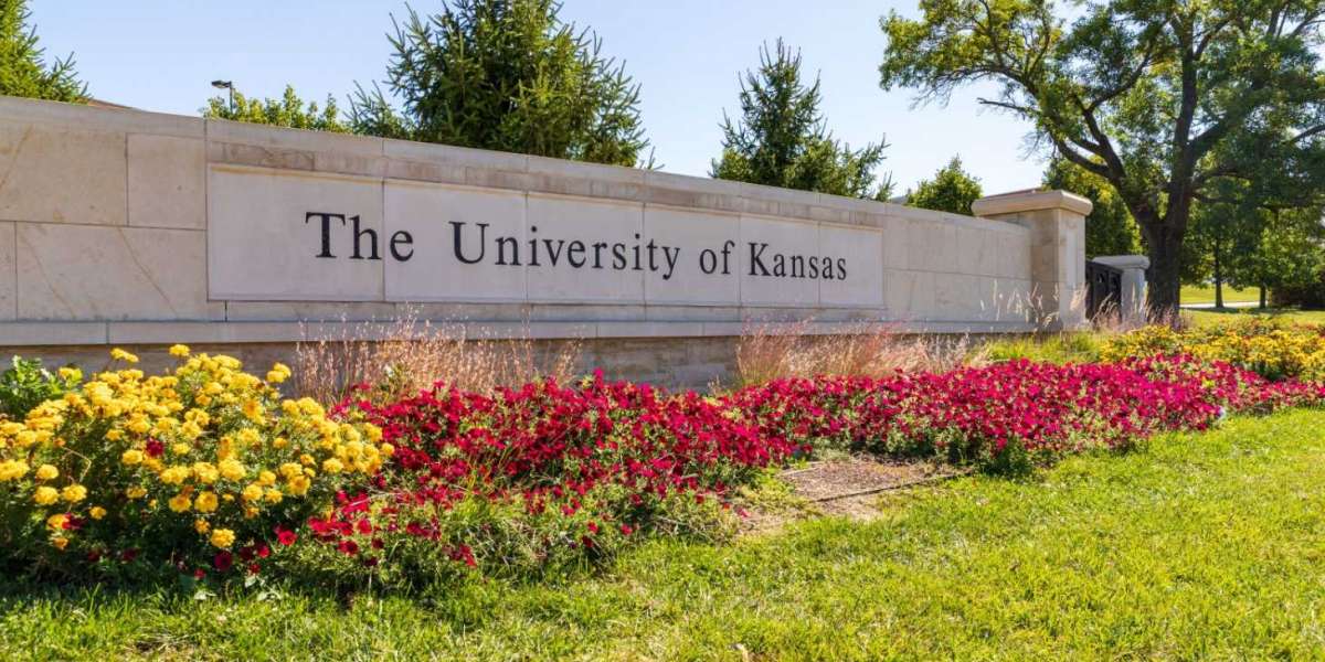 University of Kansas – Best Undergraduate Programs