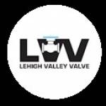 Lehigh Valley Valve Profile Picture