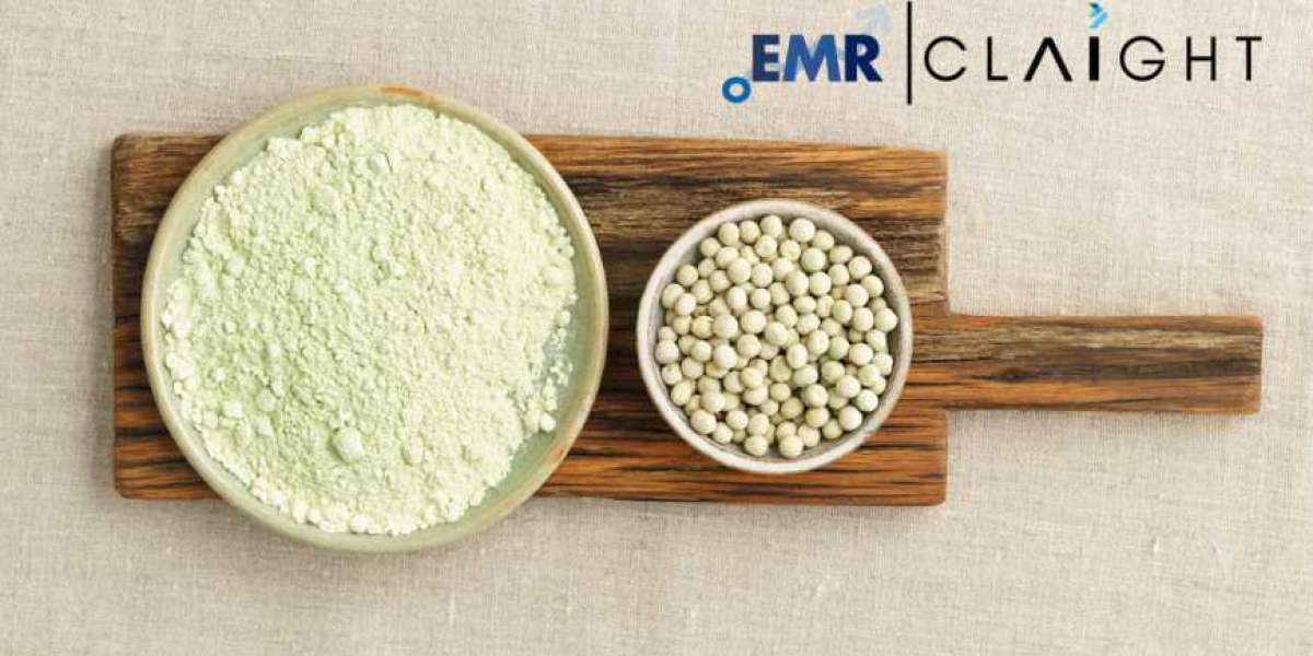 Pulse Flour Market: Key Insights and Trends (2025-2034)