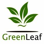 Green Leaf Profile Picture