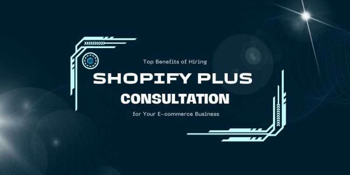 From Traffic to Conversions: Shopify Plus Marketing Mastery