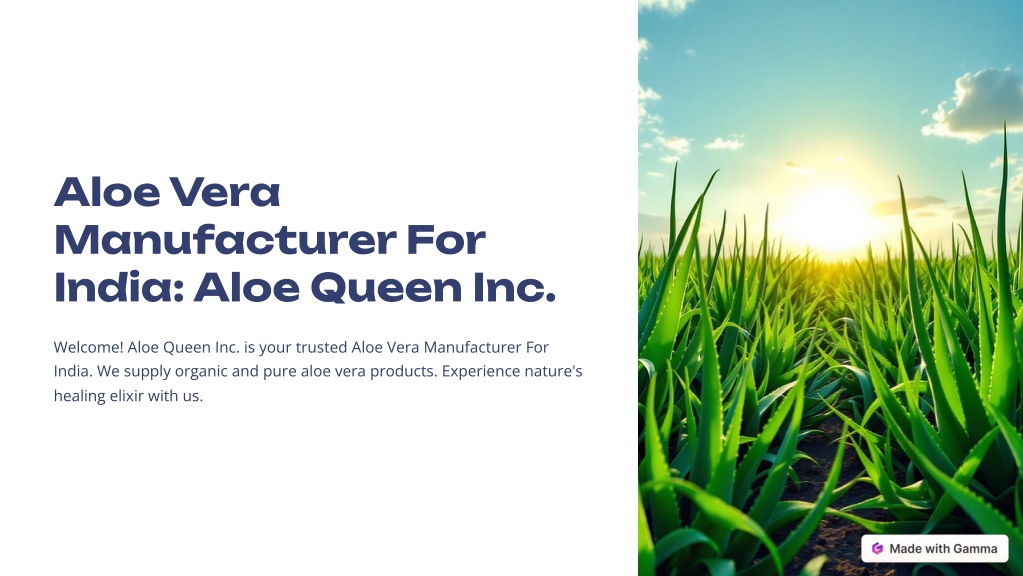 PPT - Aloe-Vera-Manufacturer-For-India-Aloe-Queen-Inc