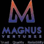 Magnus Ventures profile picture