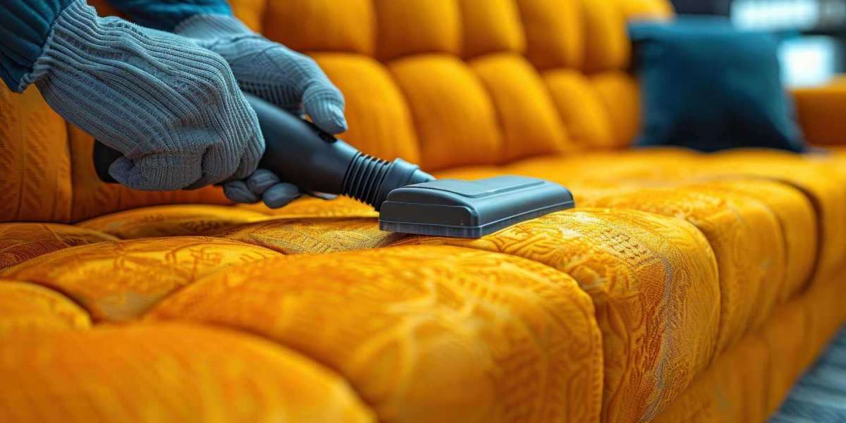 Best Pet-Friendly Upholstery Cleaning in Brooklyn NY