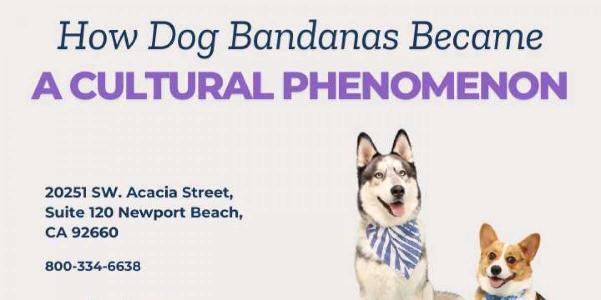 How Dog Bandanas Became a Cultural Phenomenon