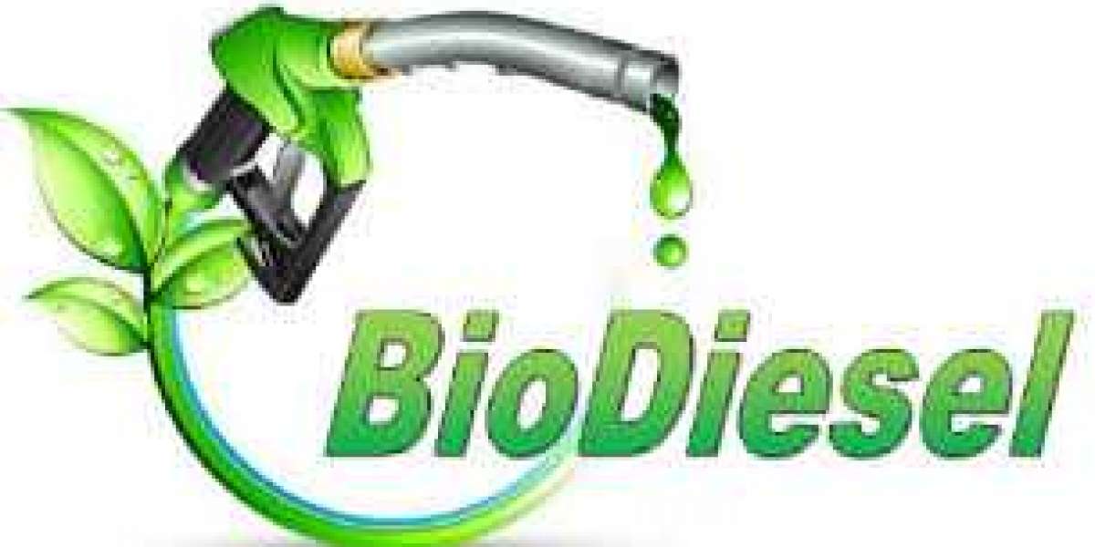 Why Biodiesel is the Future of Sustainable Transportation