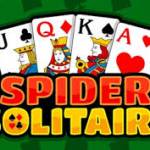 spidersolitaire23 Profile Picture