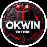 Okwin games profile picture