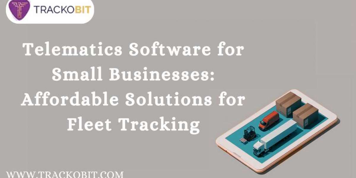 Telematics Software for Small Businesses: Affordable Solutions for Fleet Tracking