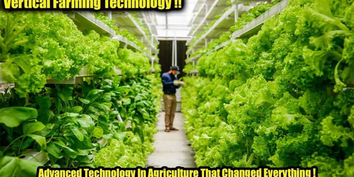 Vertical Farming Market Report: Growth, Challenges, and Innovations