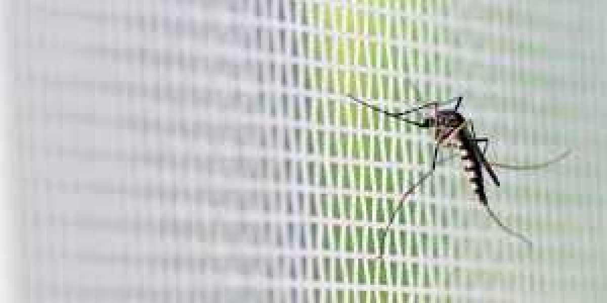 How Mosquito Netting Fabric Protects You from Insects and Illnesses