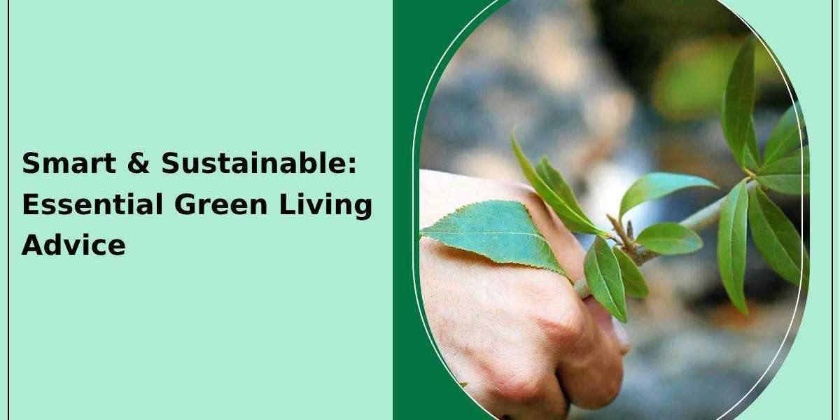 Smart & Sustainable: Essential Green Living Advice