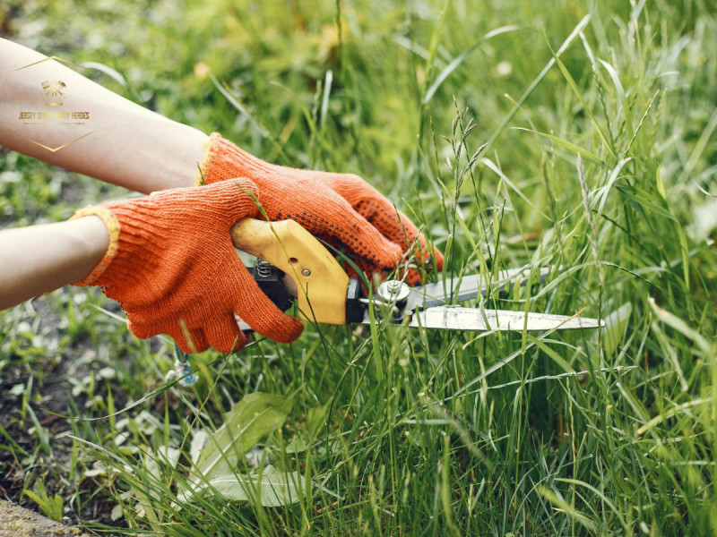 10 Expert Tips for Landscaping and Garden Maintenance to Boost Curb Appeal : ext_6714157 — LiveJournal