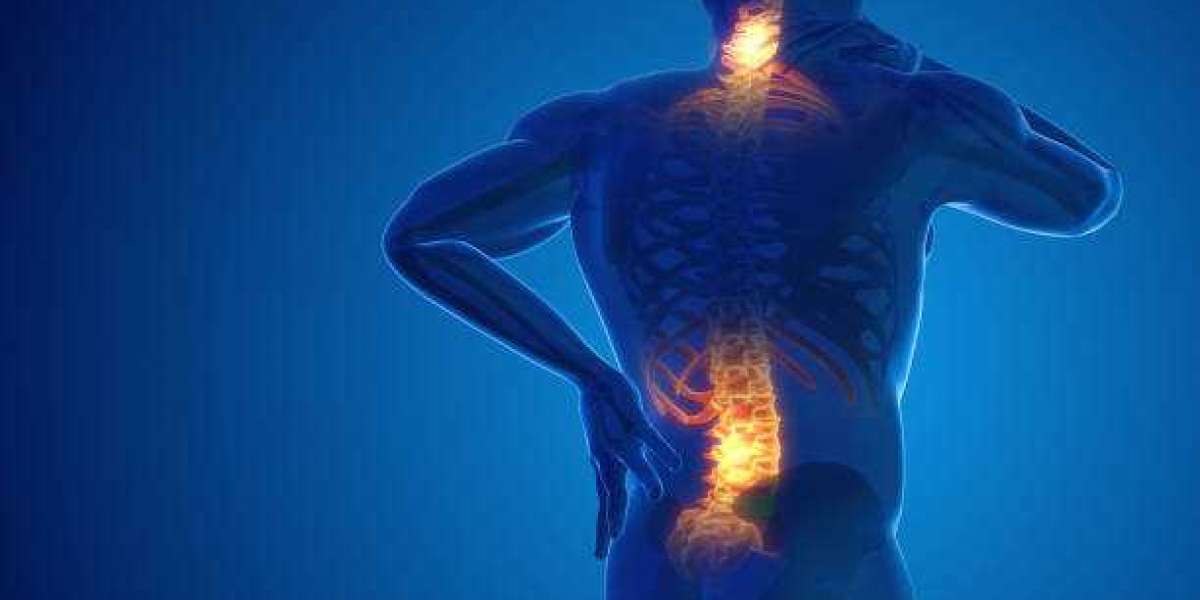 Back Pain Management Guide: Things You Should Avoid to Stay Pain-Free