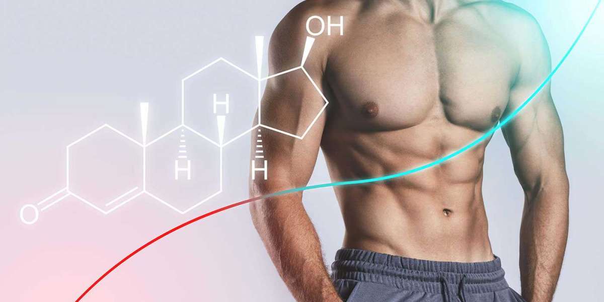 Effective Strategies For Managing High Testosterone Levels In Males