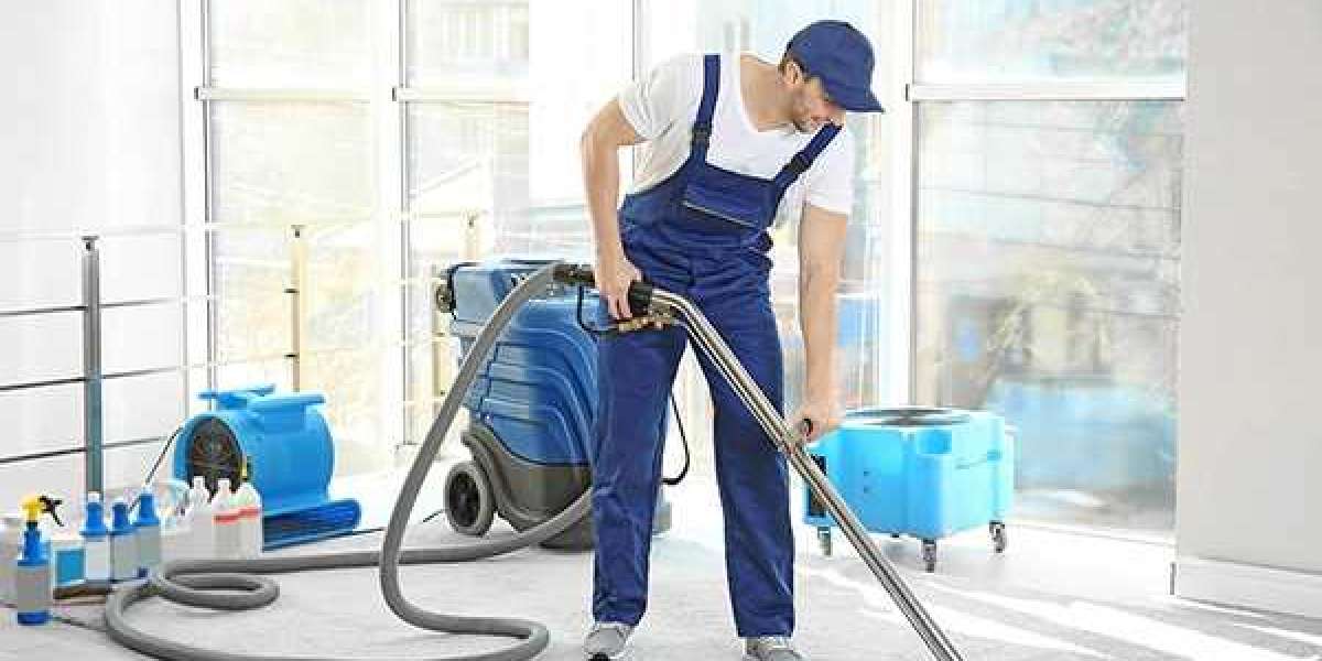 How Professional Carpet Cleaning Services Bring Life to Home Interiors