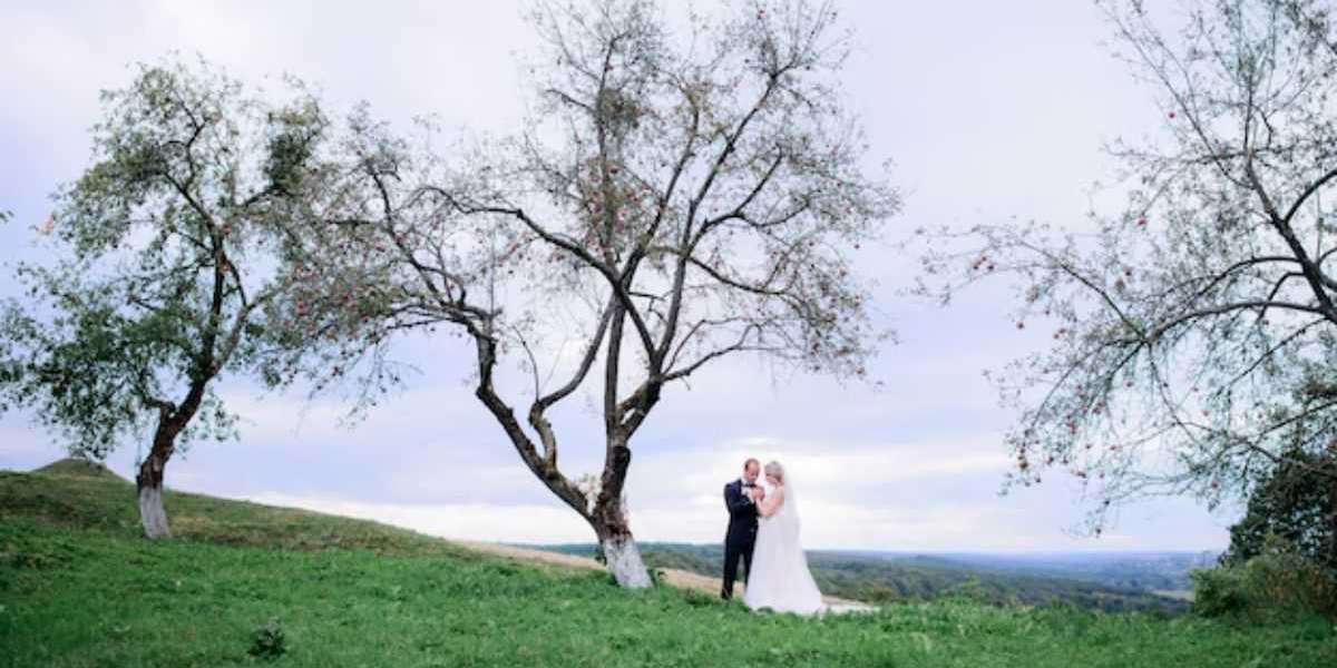 Adelaide Hills Wedding Photographer: Capturing Your Love Story in Breathtaking Beauty