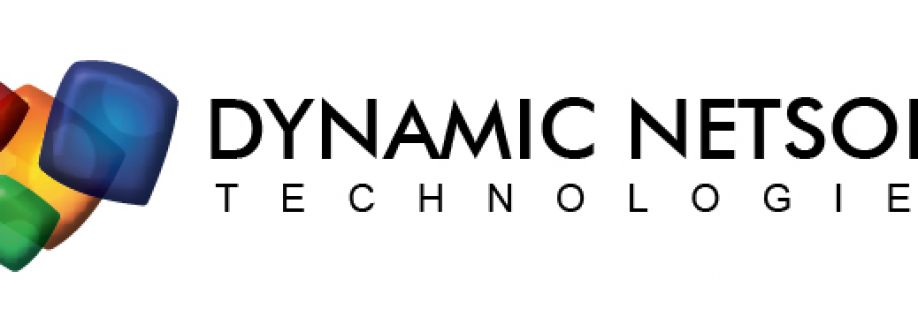 dynamic netsoft Cover Image