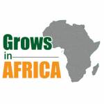 Grows in Africa Profile Picture