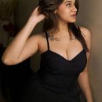 Jaipur Escorts Service Profile Picture