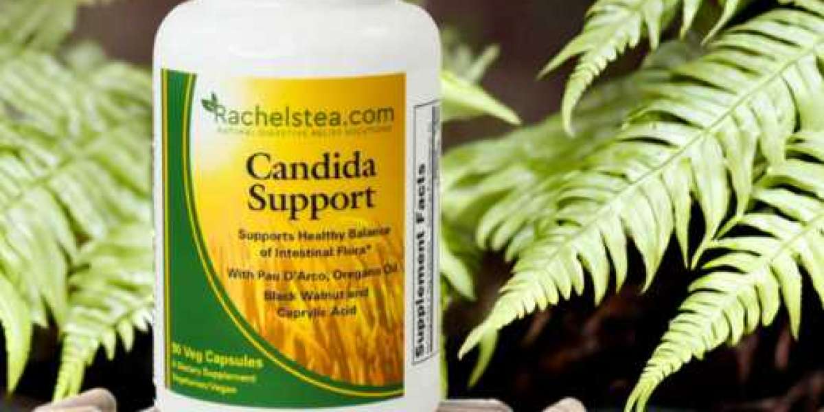 Candida Balance: The Role of Candida Pills and Natural Remedies