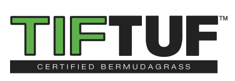 TifTuf™ Bermudagrass Florida | Star Turf Farms