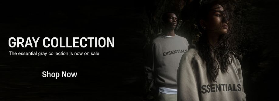 Grey Essentials Hoodie Cover Image