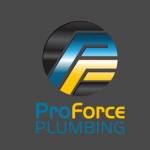 proforceplumbing Profile Picture