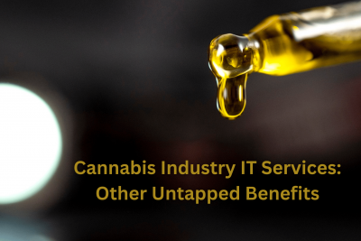 Cannabis Industry IT Services: Other Untapped Benefits - EB Solution
