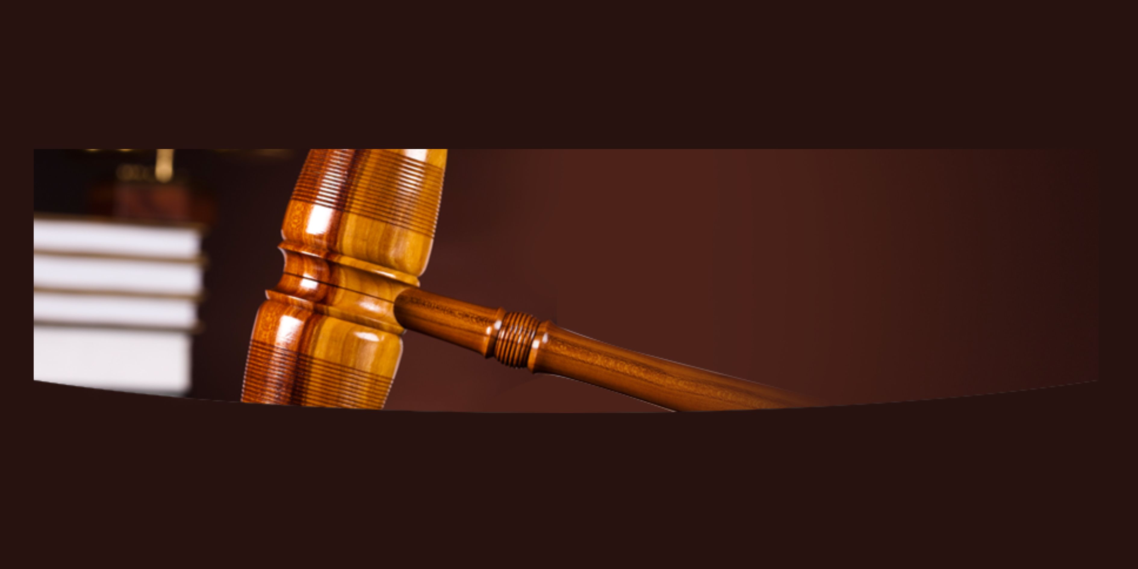 Why Police are An Integral Component of the Criminal Justice System
