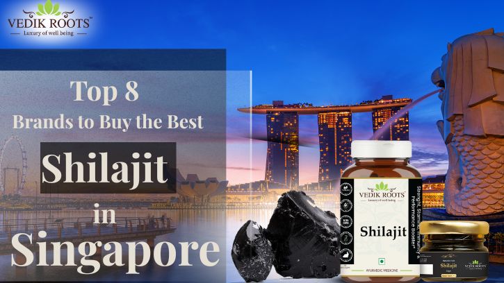 Top 8 Brands to Buy Shilajit in Singapore | Pure & Authentic Shilajit for Sale  – Vedikroots