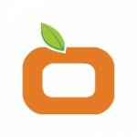 orangeinfomedia Profile Picture